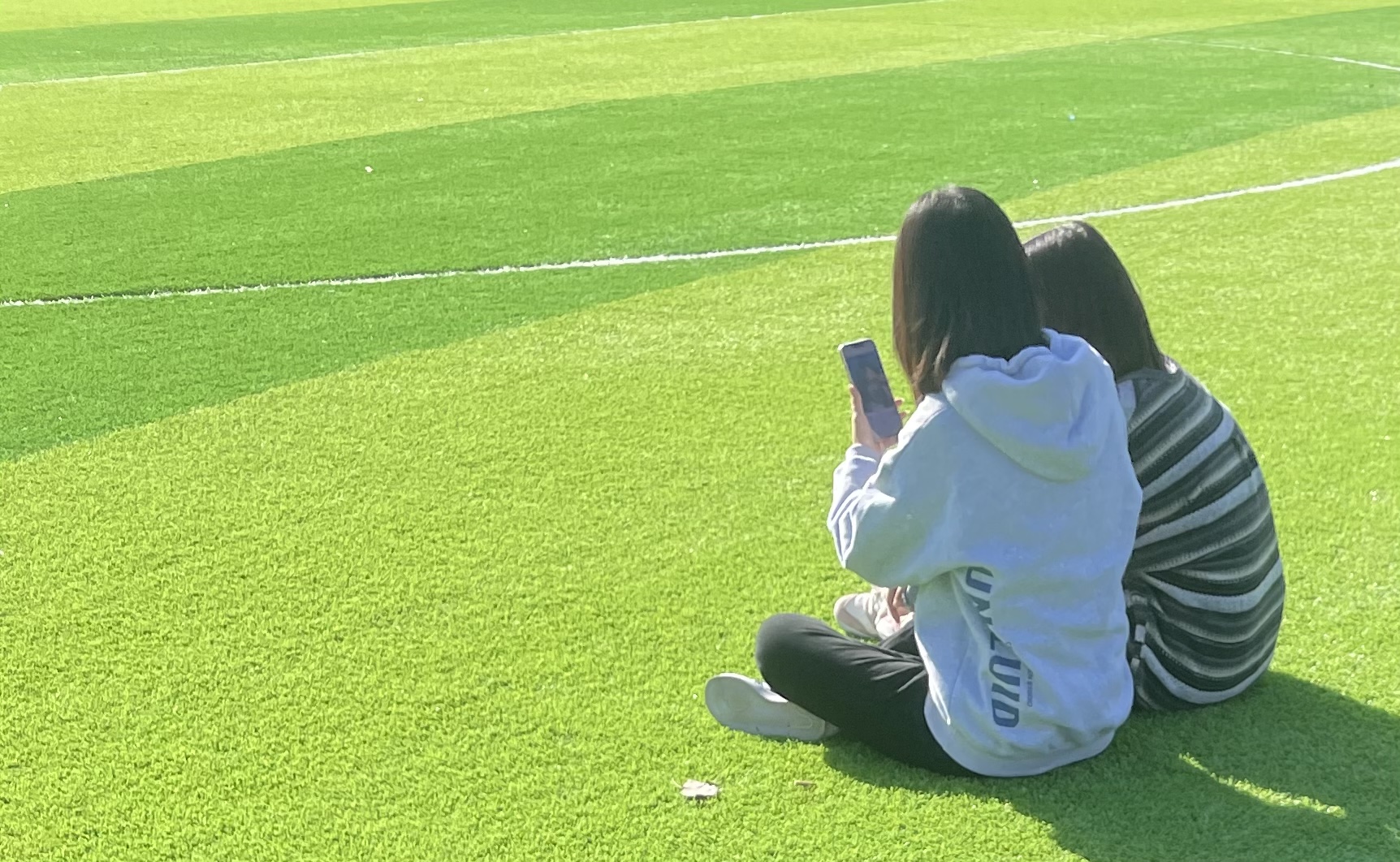 大学生们看过来-猫匿