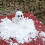 今年下雪堆的雪人☃️-猫匿