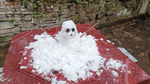 今年下雪堆的雪人☃️-猫匿