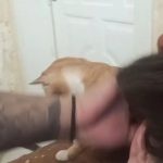 听一万遍反方向的钟可以回到过去吗-猫匿