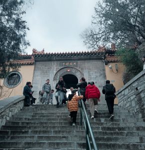 昨天，忘记发了-猫匿