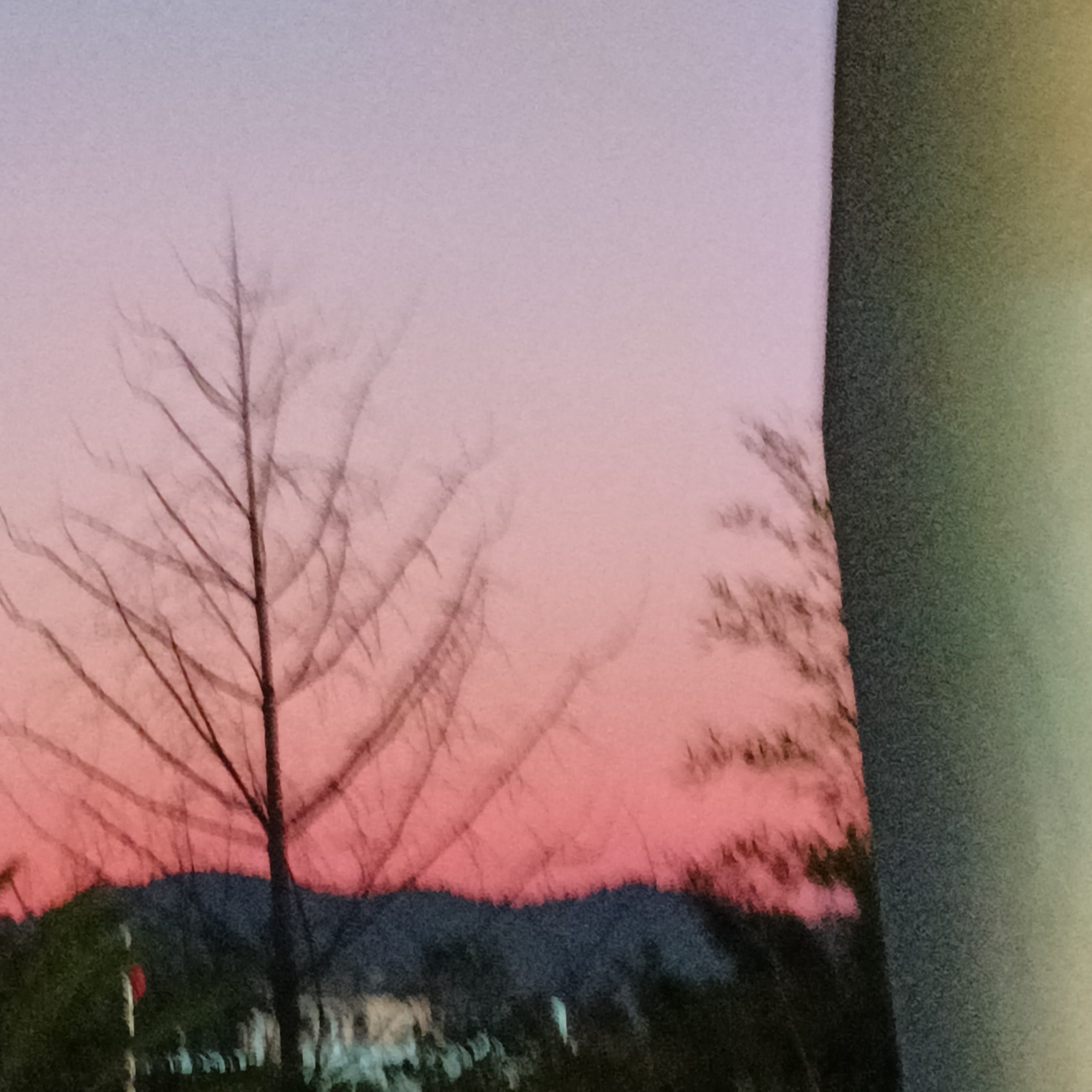 一定要文采斐然吗，我断断续续含糊不清的话语不也是爱吗-猫匿