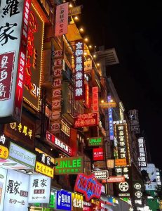 继续分享生活-猫匿