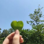 “你所浪费的今天，是昨天死去的人奢望的明天。”-猫匿