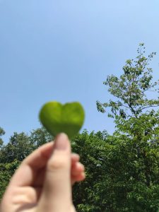 “你所浪费的今天，是昨天死去的人奢望的明天。”-猫匿