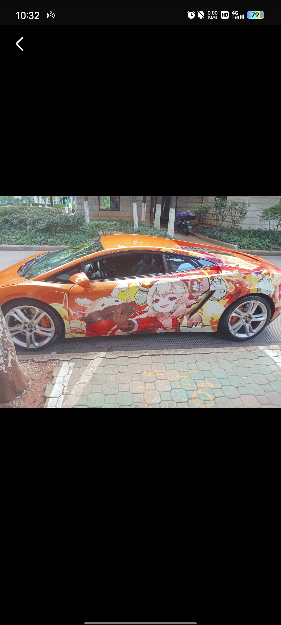 这也太好看了，我就喜欢这样的-猫匿