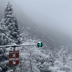 2023年1月22日和姐妹看雪-猫匿