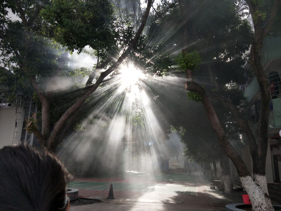 有没有那种随手一拍就更惊艳的图片？-猫匿