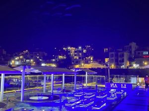 生活！！！-猫匿