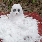 今年下雪堆的雪人☃️-猫匿