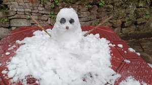 今年下雪堆的雪人☃️-猫匿