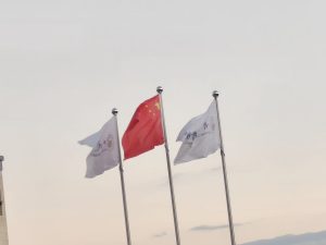 总要享受一下生活吧-猫匿