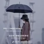 爱意随风起。-猫匿