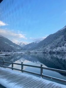 生活！！！-猫匿