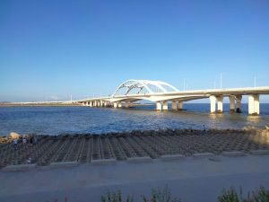 总要享受一下生活吧-猫匿