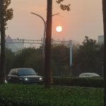 和我表白的那晚夕阳格外美-猫匿