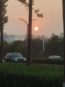 和我表白的那晚夕阳格外美-猫匿