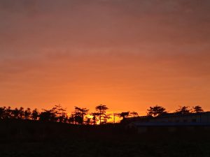 手机里的日出与日落-猫匿