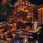 继续分享生活-猫匿