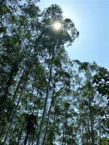 “你所浪费的今天，是昨天死去的人奢望的明天。”-猫匿