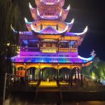 简简单单看个风景吧-猫匿
