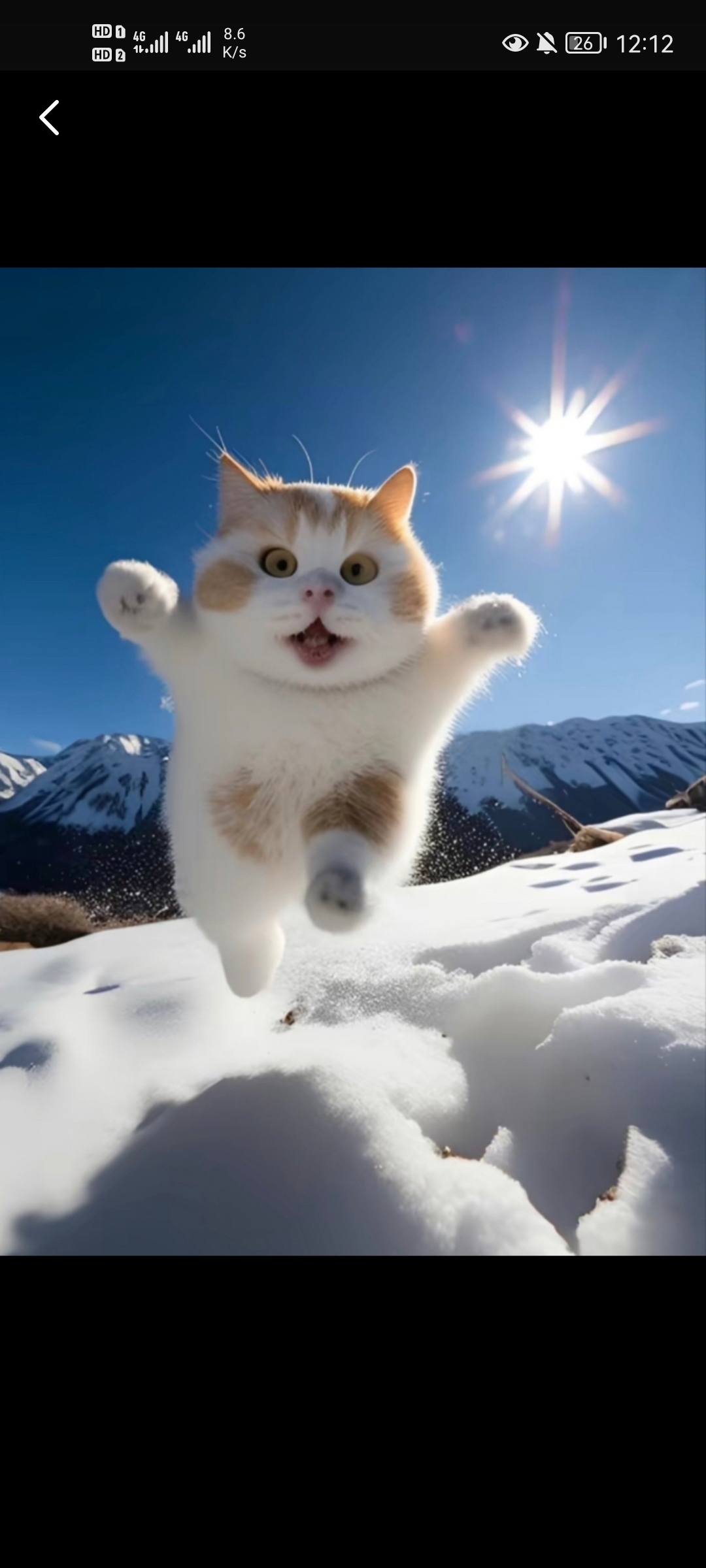 可爱⚈₃⚈-猫匿