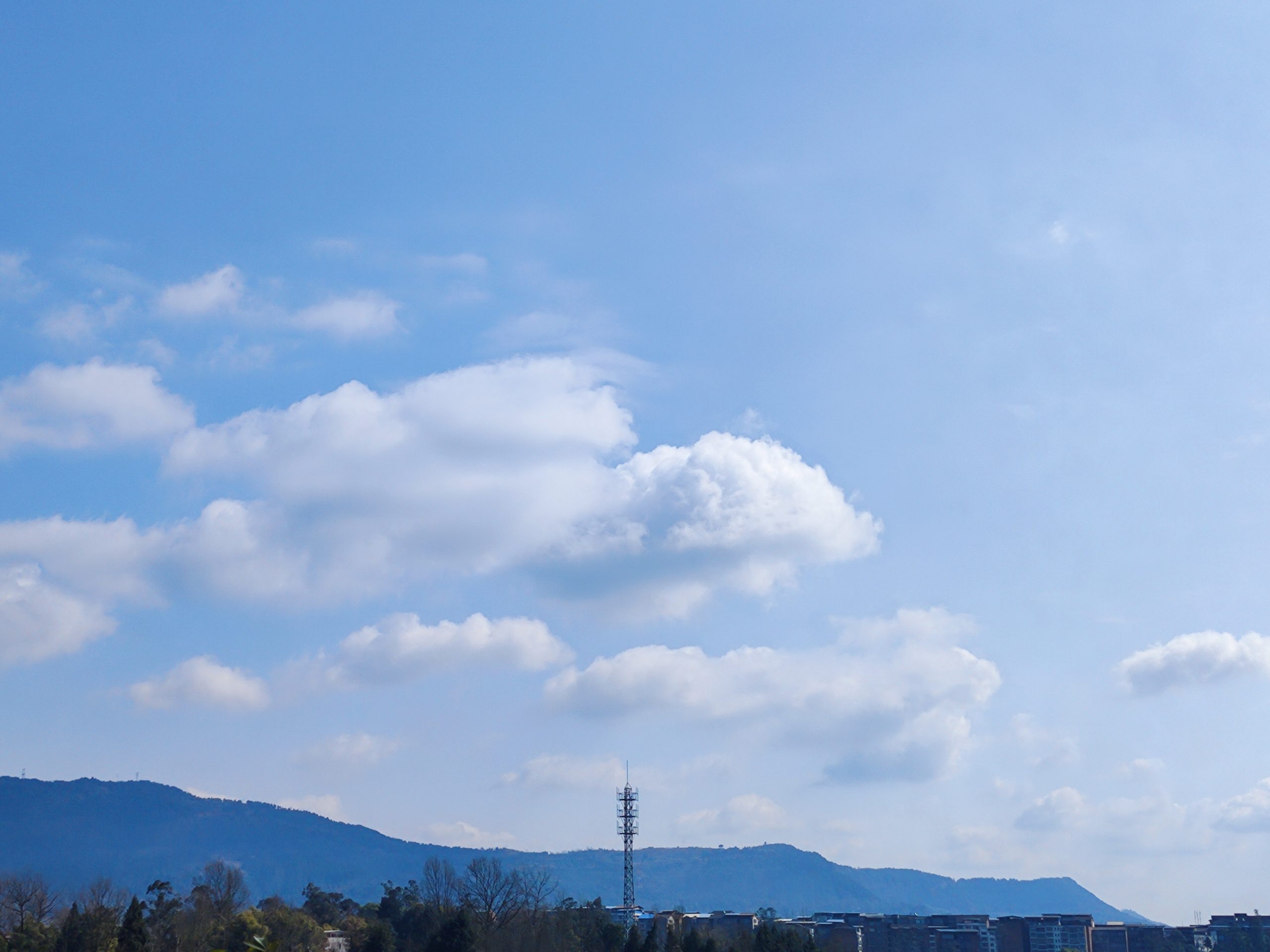 今天的天气真好-猫匿