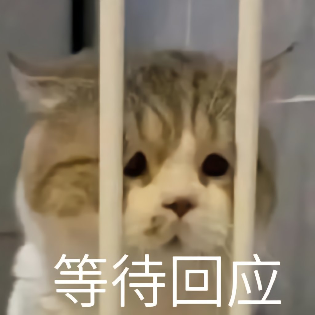 有点帅气，又有点流氓-猫匿