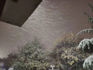 简单回忆一下学生时期吧-猫匿