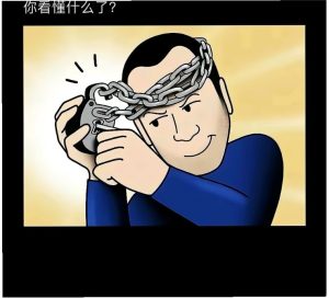 表达人性的图片-猫匿