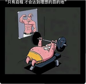 表达人性的图片-猫匿