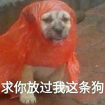 “你这个儿挺显年轻啊”-猫匿