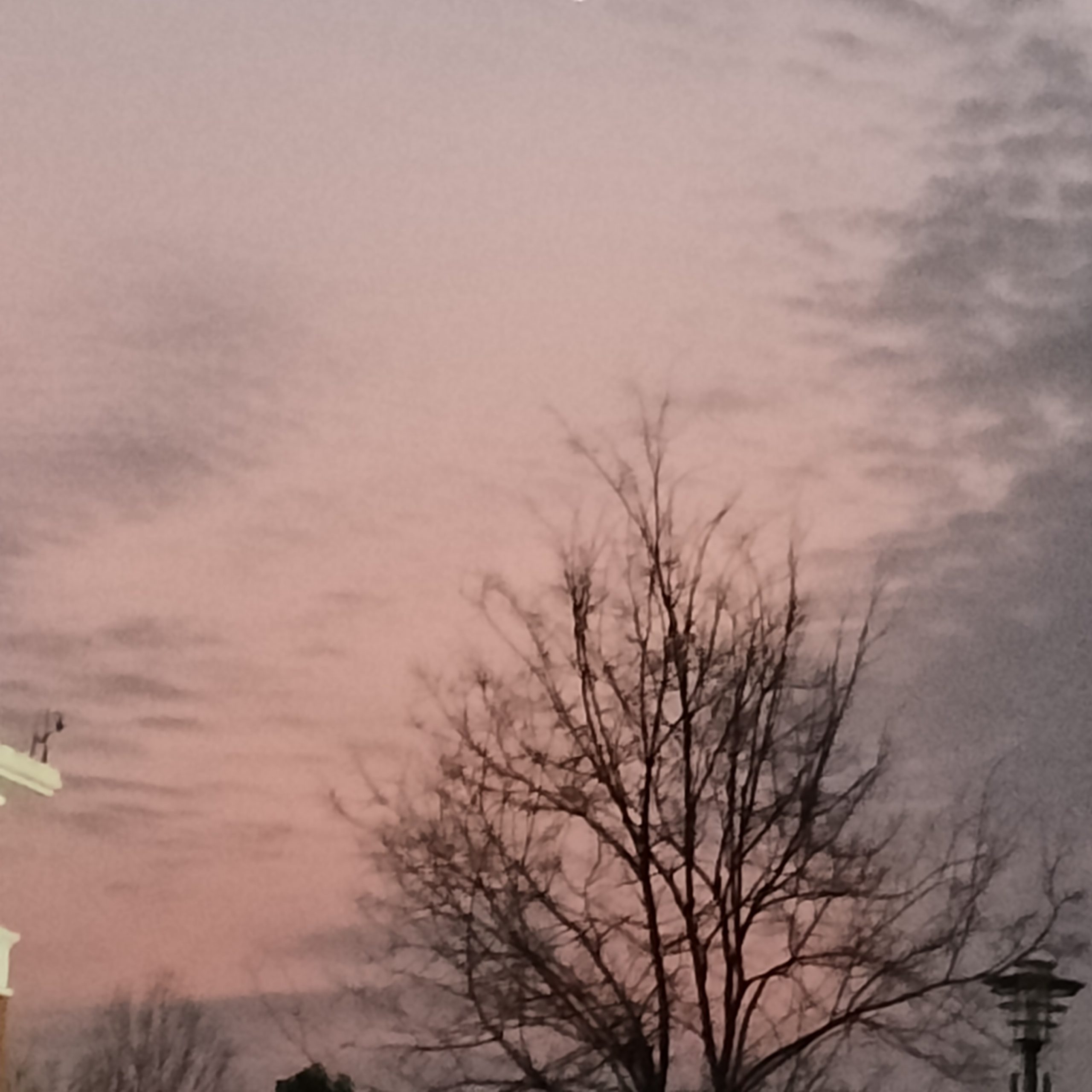 晚安家人们-猫匿