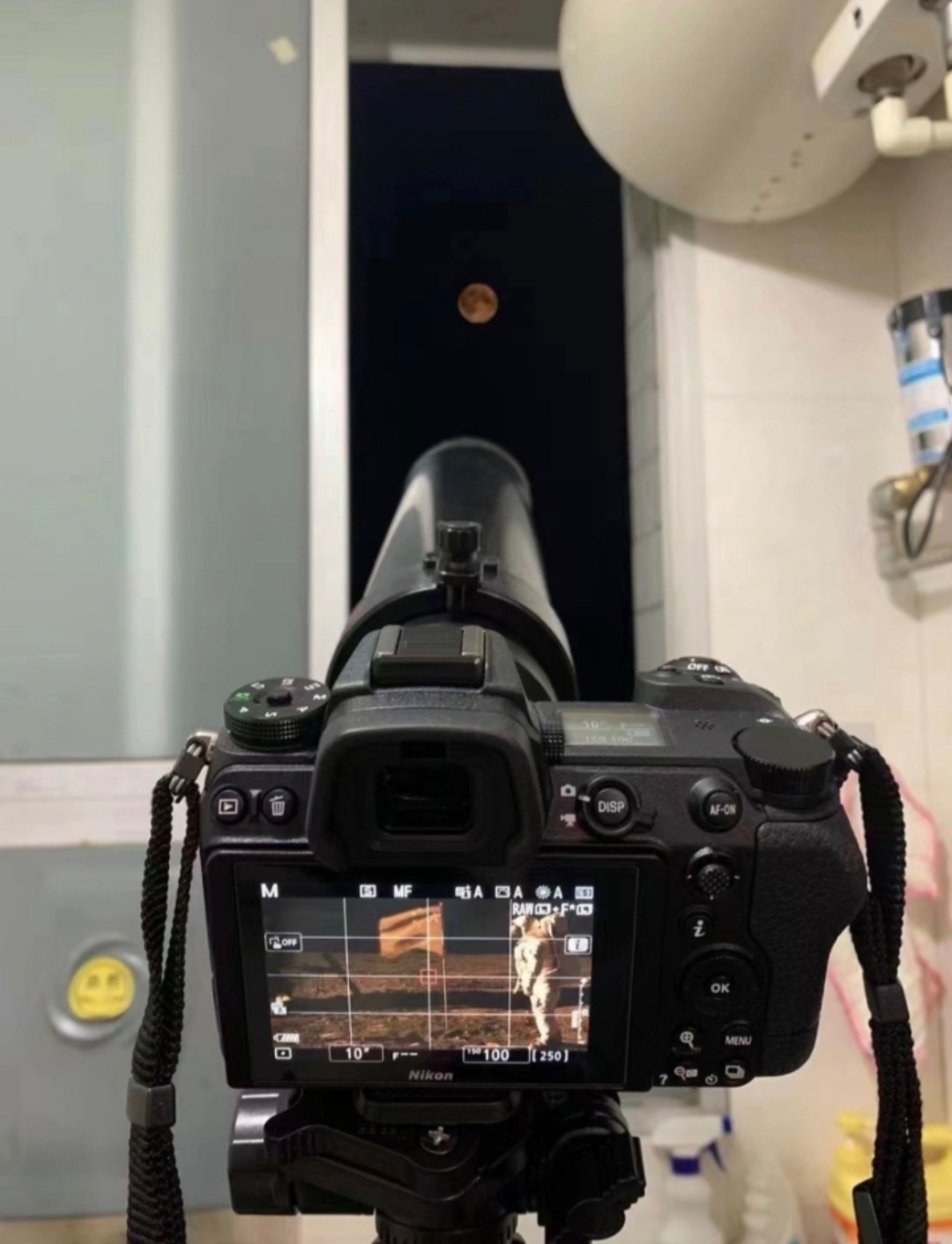 摄影如何赚钱-猫匿