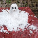 今年下雪堆的雪人☃️-猫匿