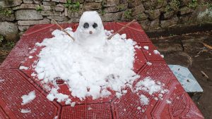 今年下雪堆的雪人☃️-猫匿