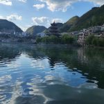 简简单单看个风景吧-猫匿