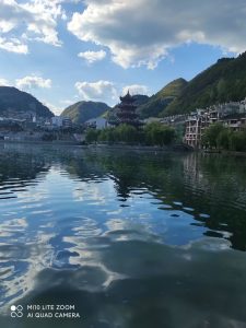 简简单单看个风景吧-猫匿