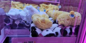 好久都没玩娃娃机了，好怀念啊，果然是长大了-猫匿