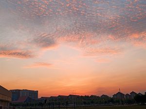 手机里的日出与日落-猫匿