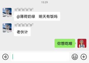 卖饭我是认真的-猫匿