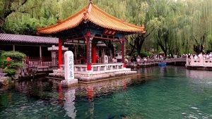 分享两张照片-猫匿