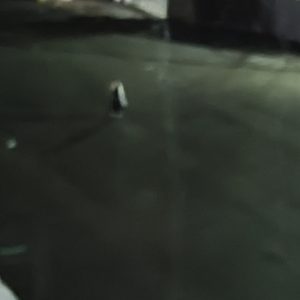 搁学校就乐意看点热闹-猫匿