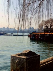 分享两张照片-猫匿