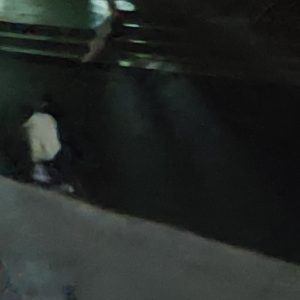 搁学校就乐意看点热闹-猫匿