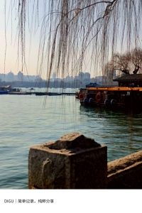 我拍的真好看-猫匿