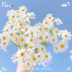 “窗外光影交错，我静默蜷缩。”-猫匿