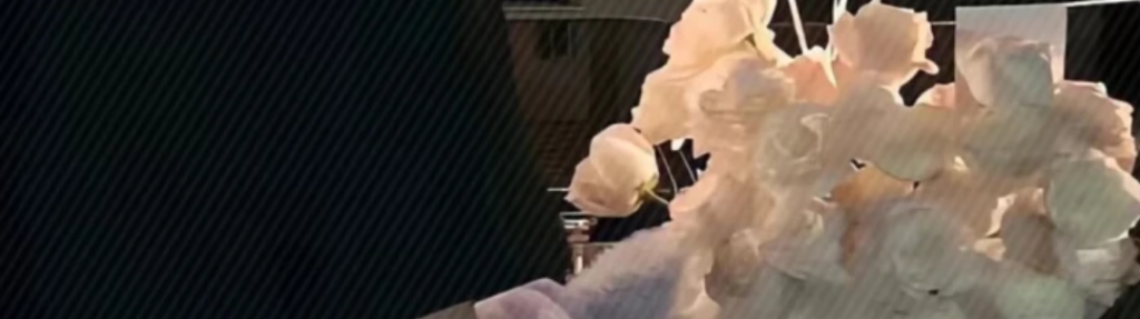 微信图片_20230324223914