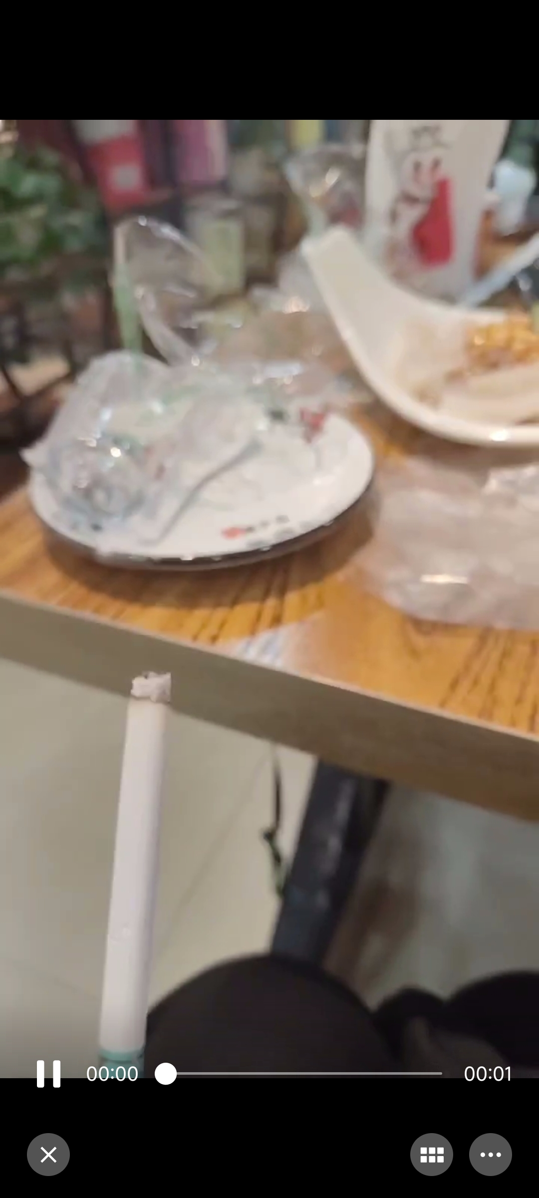 出校门咯好开心-猫匿