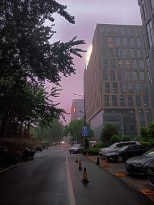 昨天聚完餐已经凌晨了-猫匿